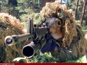 Sniper-Squirrel-30002