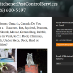 #KitchenerPestControlServices (226) 600-5597